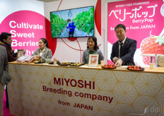 Besides their strawberries, Miyoshi's team also brought sweet potatoes and wasabi.